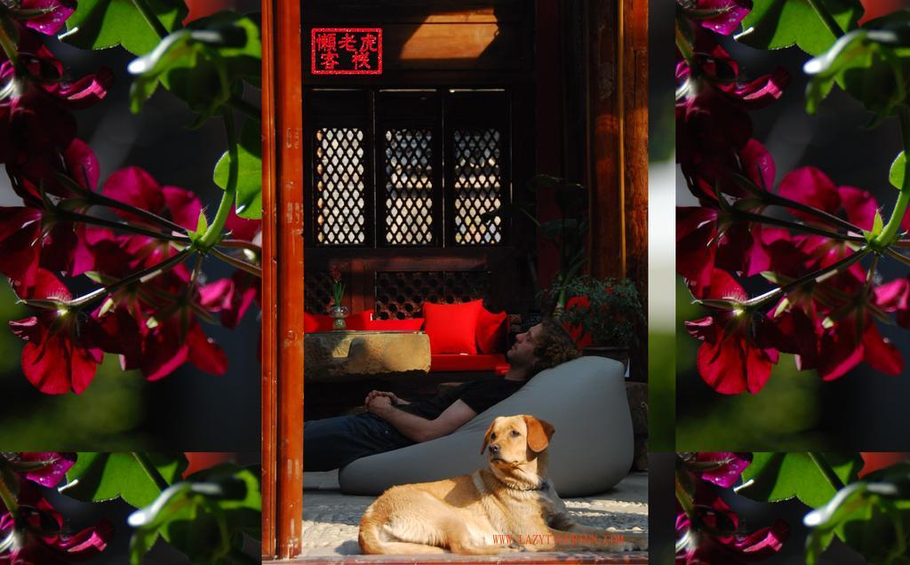Lazy Tiger Inn Lijiang  Luaran gambar