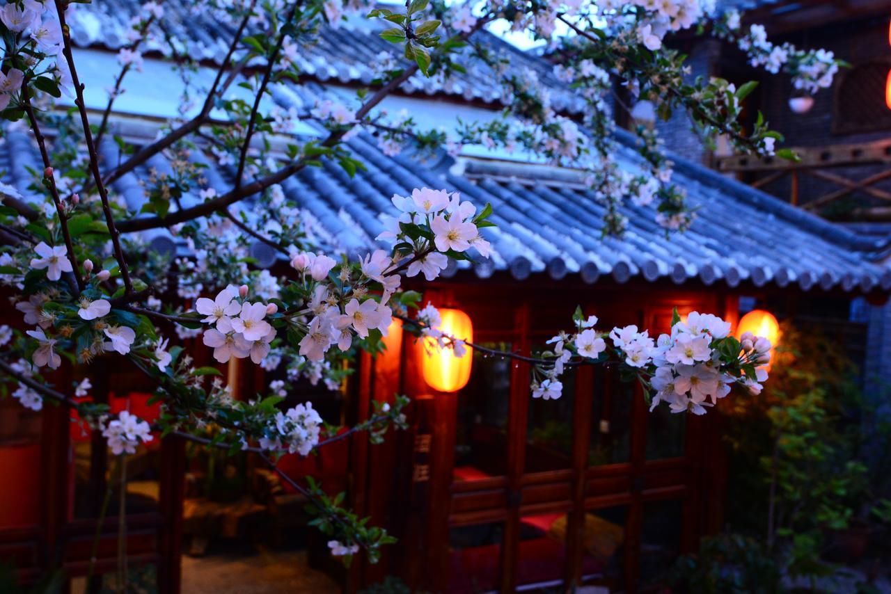 Lazy Tiger Inn Lijiang  Luaran gambar